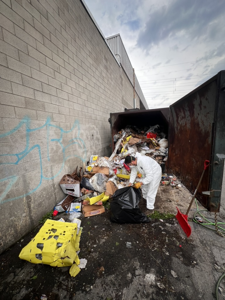 Worker in protective equipment collecting accumulated commercial waste